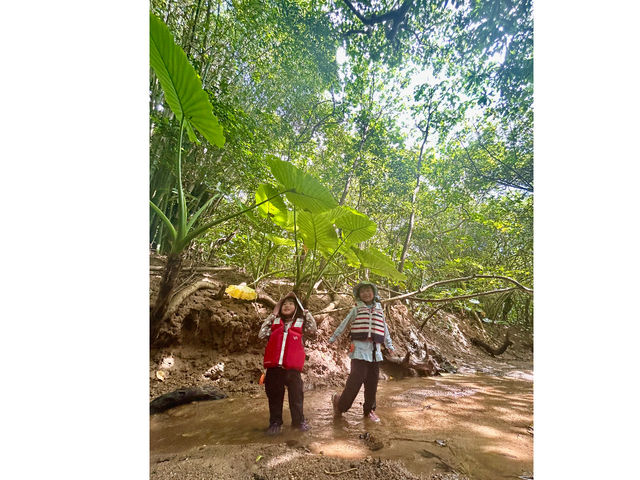 �A�C�h���ɂ����ĂȂ��_�T�E���h�J���b�N