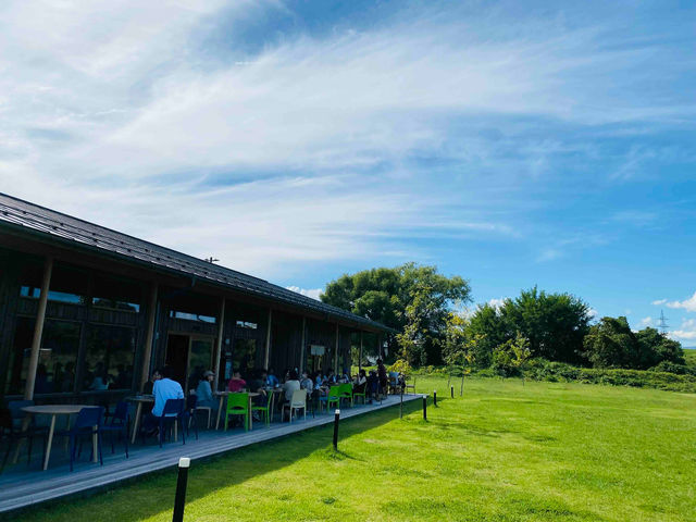 �J�t�F�ł������y���߂�̂ŁA�̌���ɂ����p��������_��a����D��̊w�ZLooms