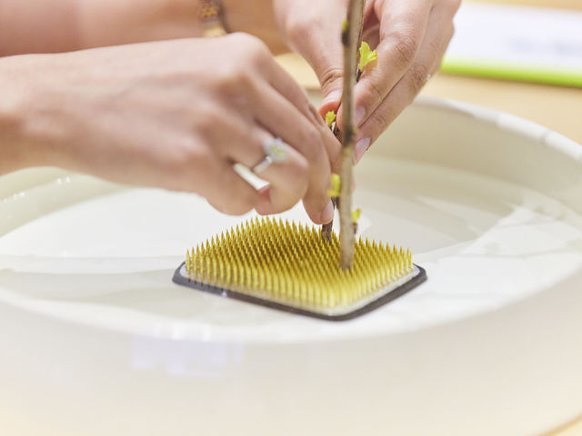 IKEBANA STUDIO �����΂ȋ��� �������