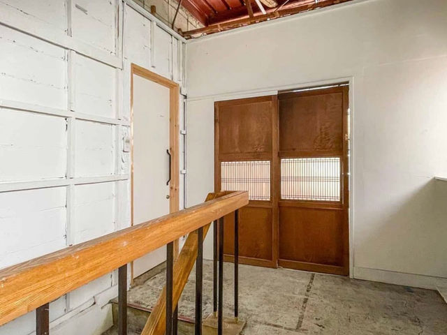 IKEBANA STUDIO �����΂ȋ��� �������