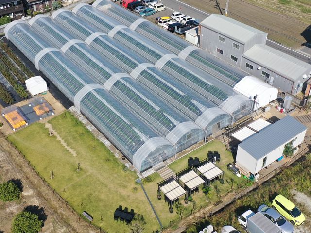 Refarm YOSHIMI 370̎ʐ^1