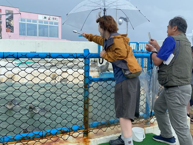 ���ۂ̃K�C�h���i�E_���k�ό��K�C�h�T�[�r�X�T�E�_�[�W