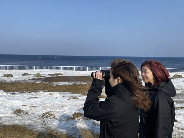 ���ۂ̃K�C�h���i�J_���k�ό��K�C�h�T�[�r�X�T�E�_�[�W