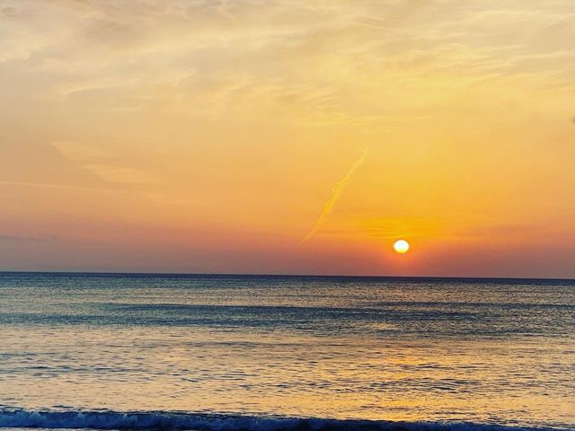 ���{�̃n���C�ƌĂ΂��������r�[�`�B�����ʂ�悤�ȊC�Ɣ������l�����͂ŁA�C������T���Z�b�g�ӏ܂ɍœK�ł��B_��ʎВc�@�l �ዷ���l�ό�����