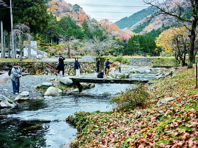 �u�k���̗��v�͔��l���̐V���n��ɂ���A�k���ނ�E�����݂ǂ�E�o�[�x�L���[�Ȃǂ��ł���{�݂ł��B_��ʎВc�@�l �ዷ���l�ό�����