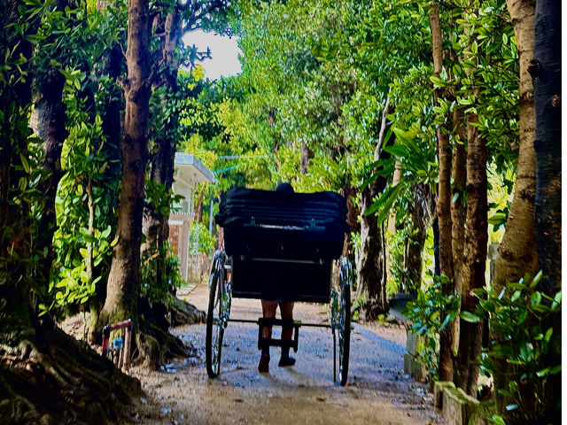 B̐l͎ԂőtNMi300NȏO琬jŁA͋C𖡂키_Ԓ~Bise~