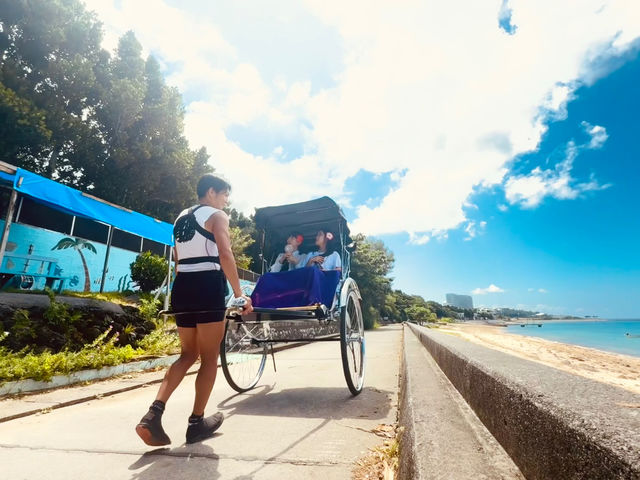 썑̊C𑖂̂́AƓߔeOO_Ԓ~Bise~