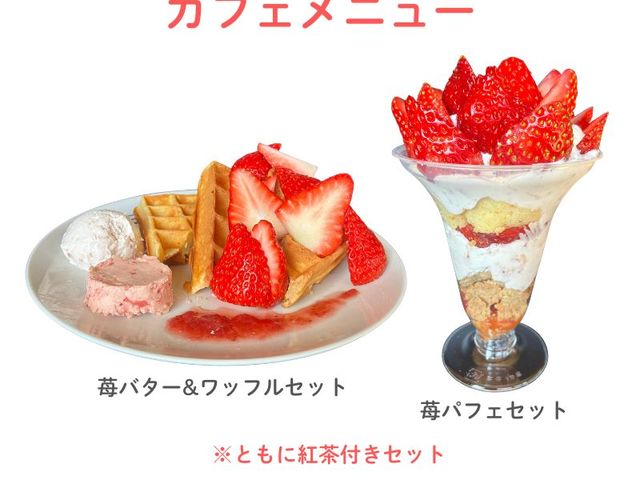 �C�[�g�C�����j���[_䕉� ��������_��