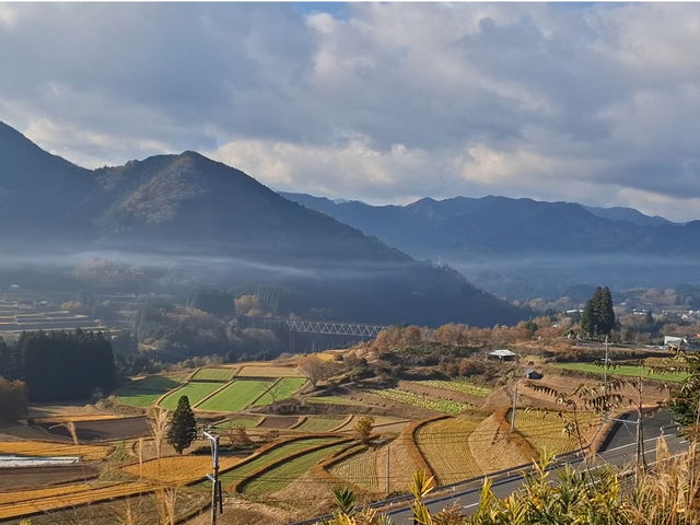 ���̖������{