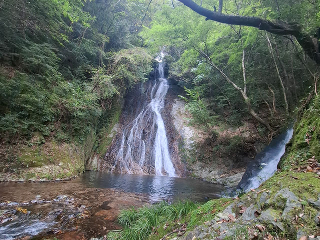 ������̑�_���̖������{