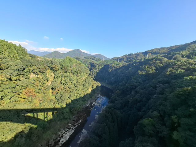 �t�勴����̒���_���̖������{