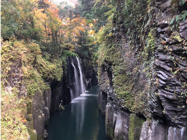 ����䋬����ǂ݉��������̑�n�B�l�̉c�݂𕨌���Ă��܂��B_���̖������{