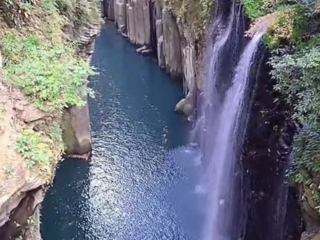 ���̖������{�̎ʐ^1