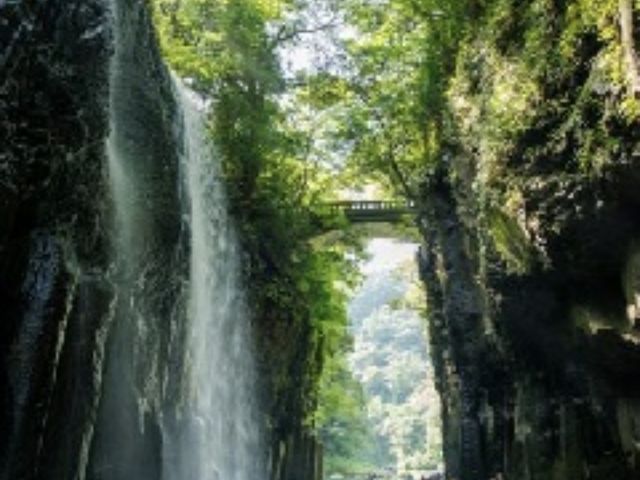 ���̖������{