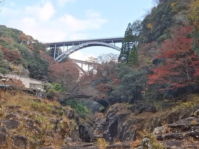 ���̖������{