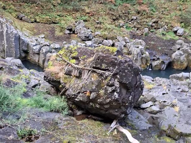 ���̖������{