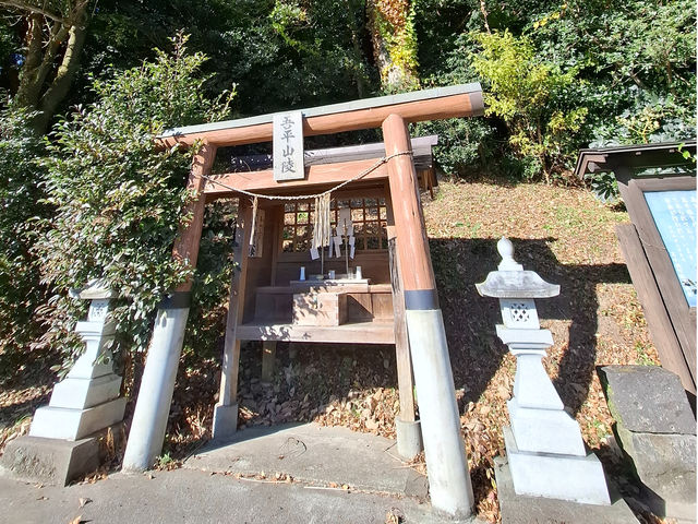 �ᕽ�R��_���̖������{