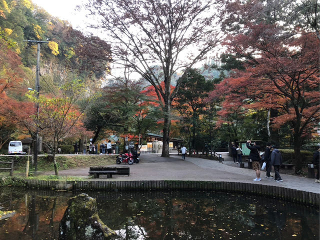 ����䋬�̍g�t_���̖������{