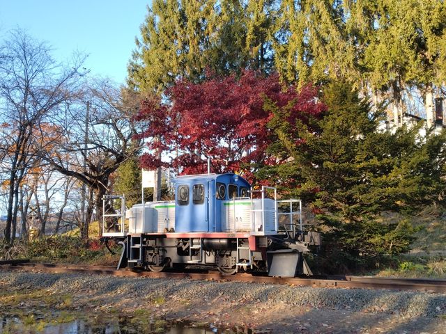 �J�̓����̌��ł���S�V��^�̎{�݂ł��B_�ԑ��S��