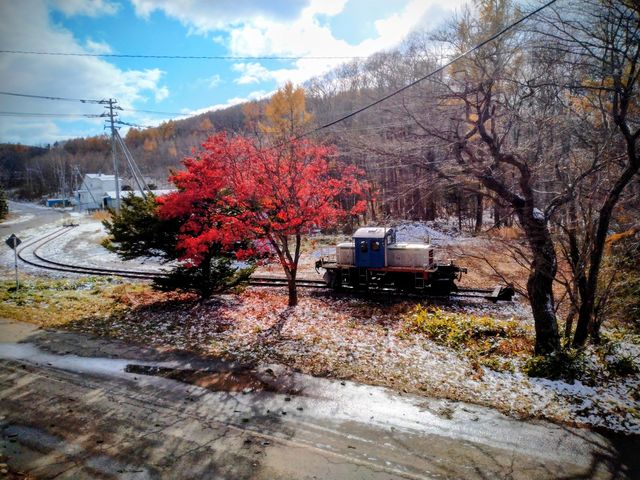 �H�������k�C��_�ԑ��S��