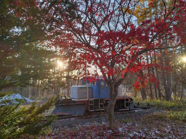 �[���������ł����A�Y��Ȏ��Ԃł��B_�ԑ��S��