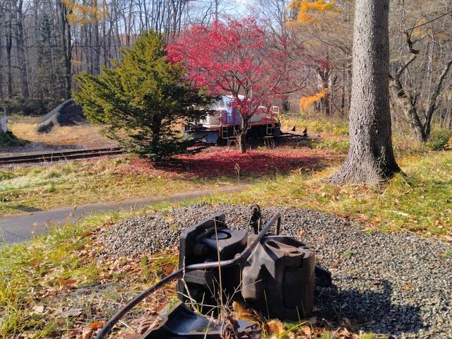 �A����́A��������Ă��܂��B���X�̘A����͏h�̉��ɁB_�ԑ��S��