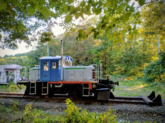 �k�C���I�z�[�c�N�ԑ��̎��R�̒��𑖂�܂��B_�ԑ��S��