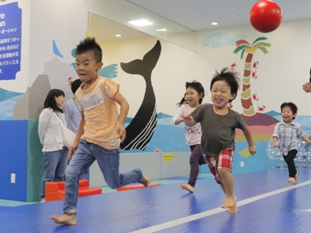 {[lh т̂ CI[ނRX̎ʐ^1