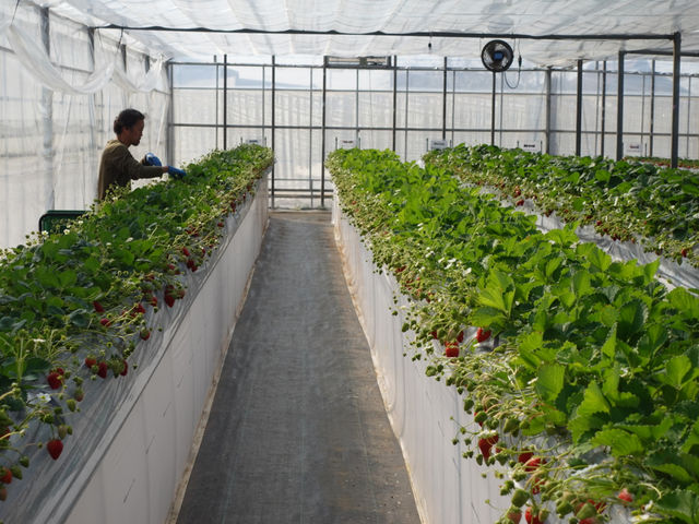 ���т�䕉�