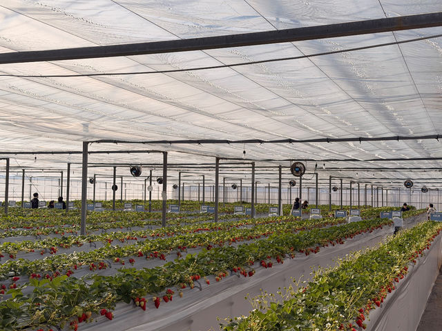 ���т�䕉�