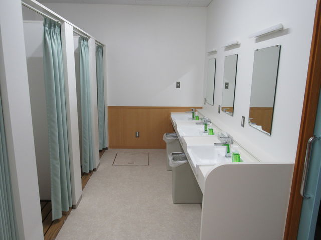 �L���C�ȍX�ߎ�_���X�e�B�J���R�u�����`