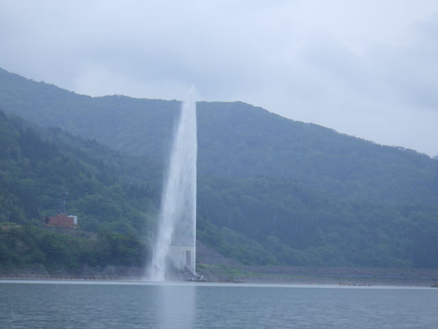 ���ʂ���̑啬��_���X�e�B�J���R�u�����`