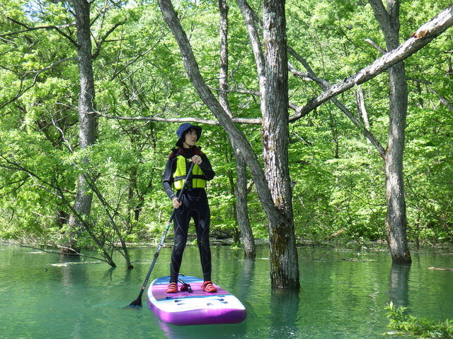 ANeBreB@
uR΃TbvcA[v_XeBJRu`