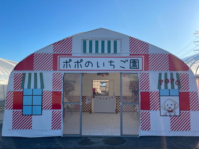 �|�|�̂��������̎ʐ^1