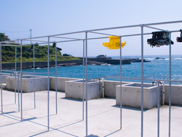 ��ފ�����_���J�T���Z�b�g�r�[�`