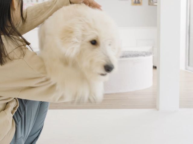 ͂ƂĂ|B_^JtF PawsFan