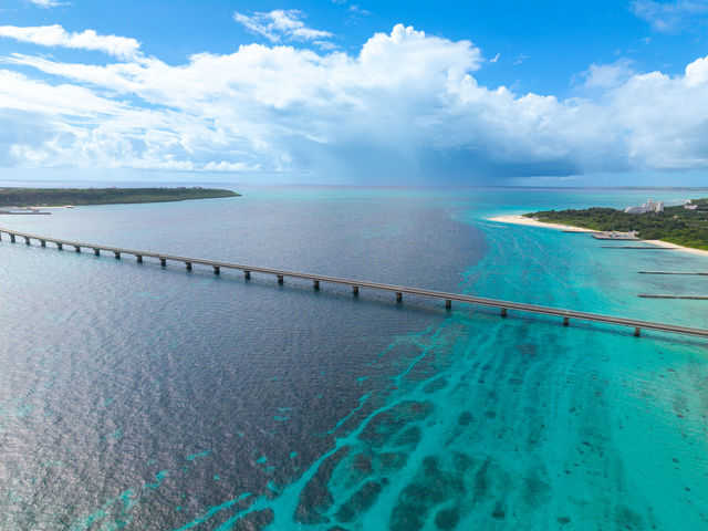 �{�Ãu���[���L����O�l�r�[�`�Ɨ��ԑ勴��w�i�ɁA�{�Ó��炵����i���P�[�V�����œ��ʂȗ��̋L�O�ʐ^���B�e���܂��B_���܂̂܃t�H�g�b�{�Ó��L�O�ʐ^