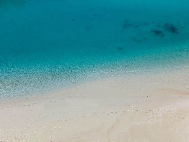 �����x�̍����C�Ƒ����������l�B�{�Ó����ے�����O�l�r�[�`�ŐS�Ɏc�郍�P�[�V�����t�H�g���B_���܂̂܃t�H�g�b�{�Ó��L�O�ʐ^