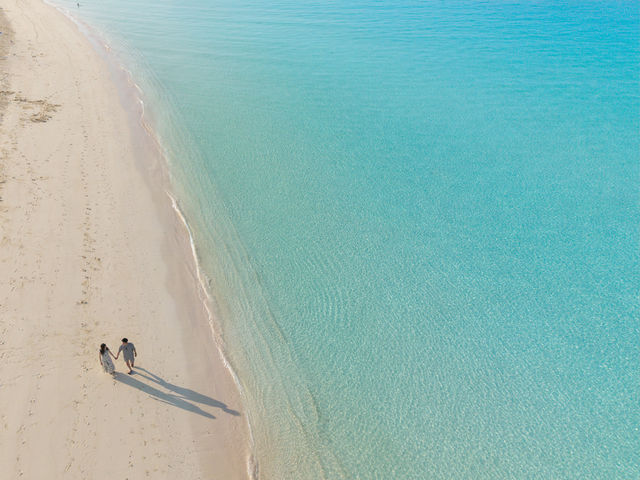 �g���������������锒���̃r�[�`�����U�����Ȃ���A���R�ȕ��͋C�̃t�H�g�Z�b�V�������s���܂��B_���܂̂܃t�H�g�b�{�Ó��L�O�ʐ^