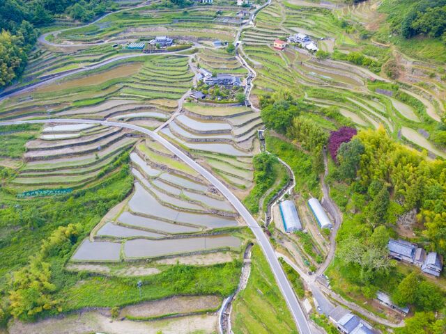 �c�y�̒I�c�̎ʐ^1