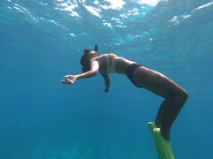 VIBES.OKINAWA-oCuXILi-̎ʐ^1