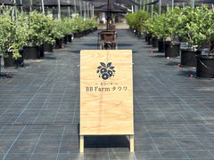 BB Farm �^�����̎ʐ^1