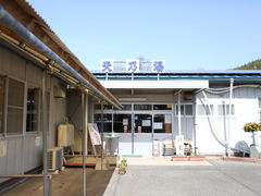 xVT̎ʐ^1