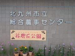 Ԕ_u ₵̎̕ʐ^1