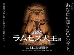ACN ZX剤W t@Ỉ̎ʐ^1