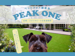 PEAK ONE ybgtHgBe̎ʐ^1