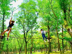 �{�E�P���m���� �����킹�̑��X�̎ʐ^1