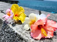 A'syu����X�̎ʐ^1