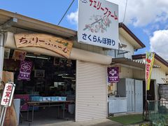 `ӂ`ނ̎ʐ^1