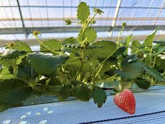 �O�����������p�[�N�̎ʐ^1